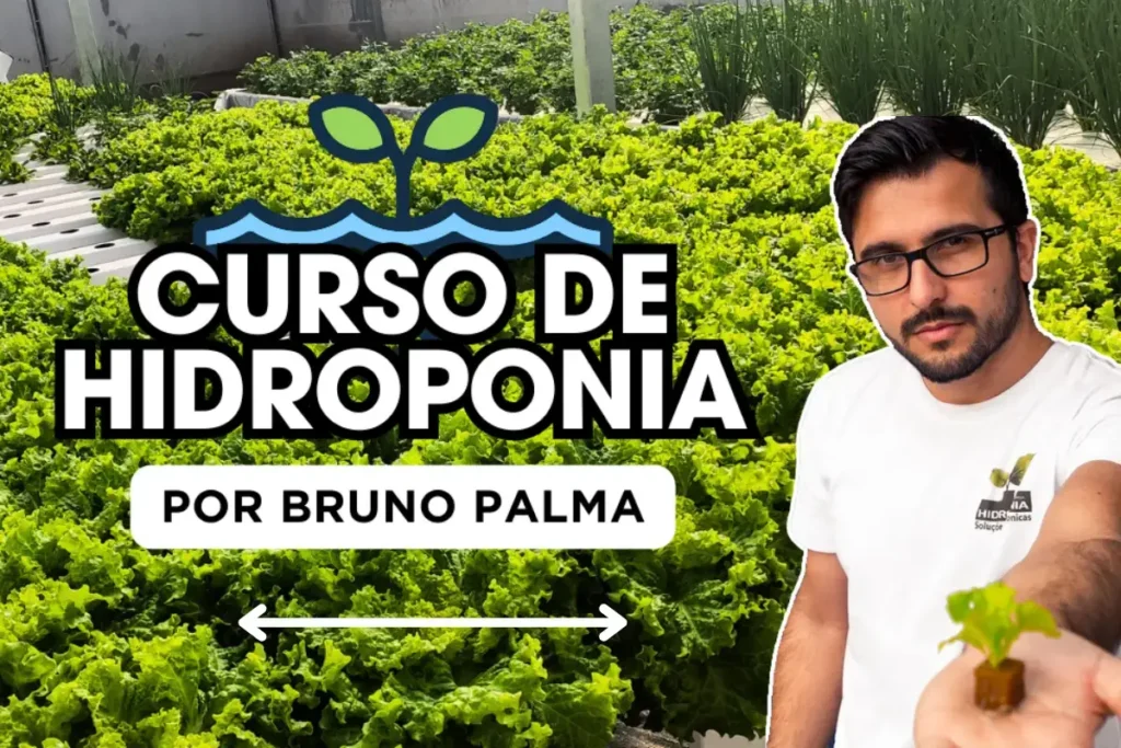 Imagem do curso de hidroponia por Bruno Palma com uma foto dele e uma horta hidropônica ao fundo.