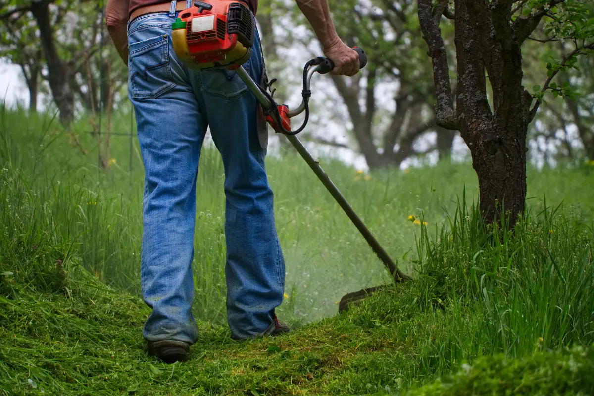 Limpeza de terreno e retirada de entulho. Foto: Reprodução / Canva Pro.