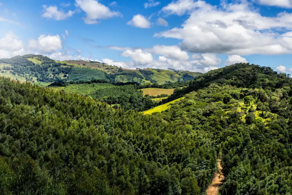 Terrenos em Áreas de Preservação.