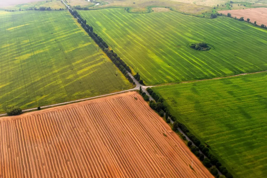 Terrenos para agricultura.