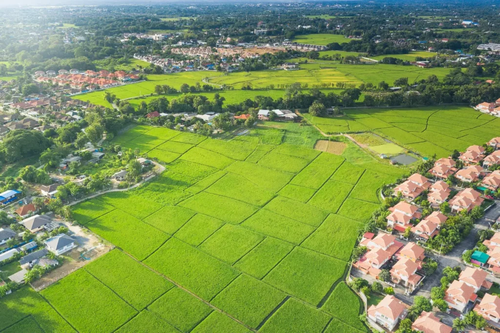 Terrenos para investimento.