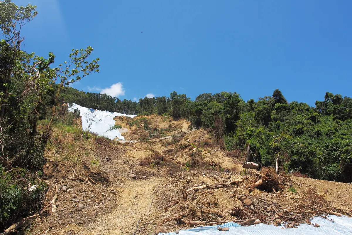 Como evitar deslizamentos em terrenos abaixo do nível da rua? Imagem mostrando diferentes técnicas de contenção de solo. Foto: Reprodução / Canva Pro.