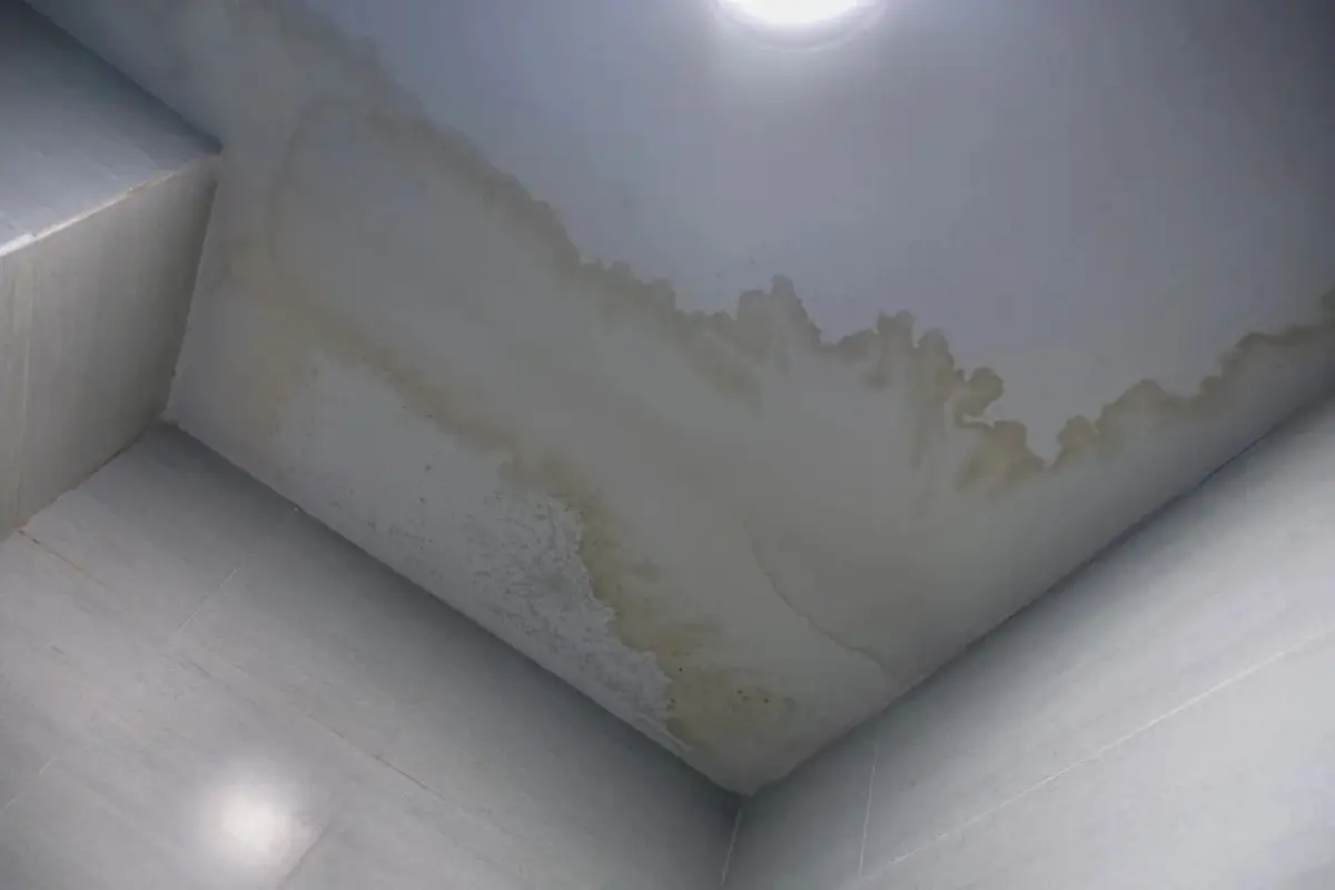 Por que infiltrações podem comprometer seu drywall? CréditosRicardo Cícero - Imagem Blog Obramax.