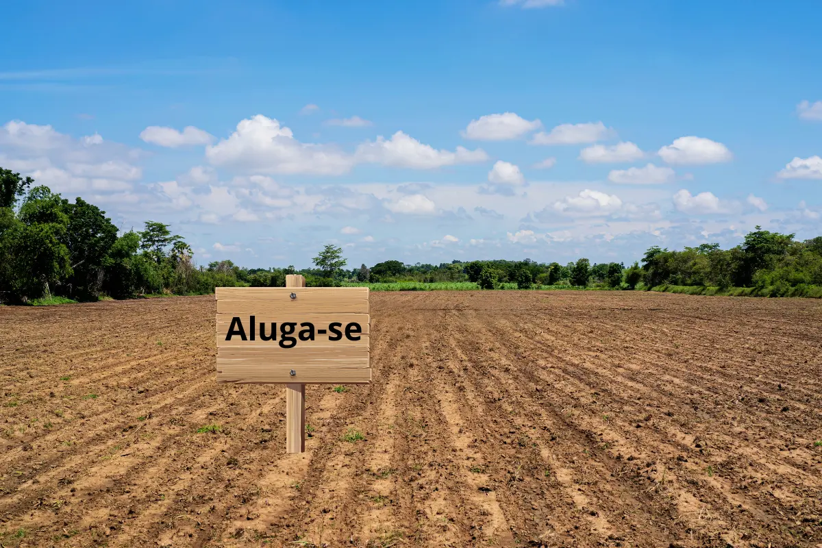 O que considerar antes de investir em terrenos para aluguel? Foto: Reprodução / Canva Pro.