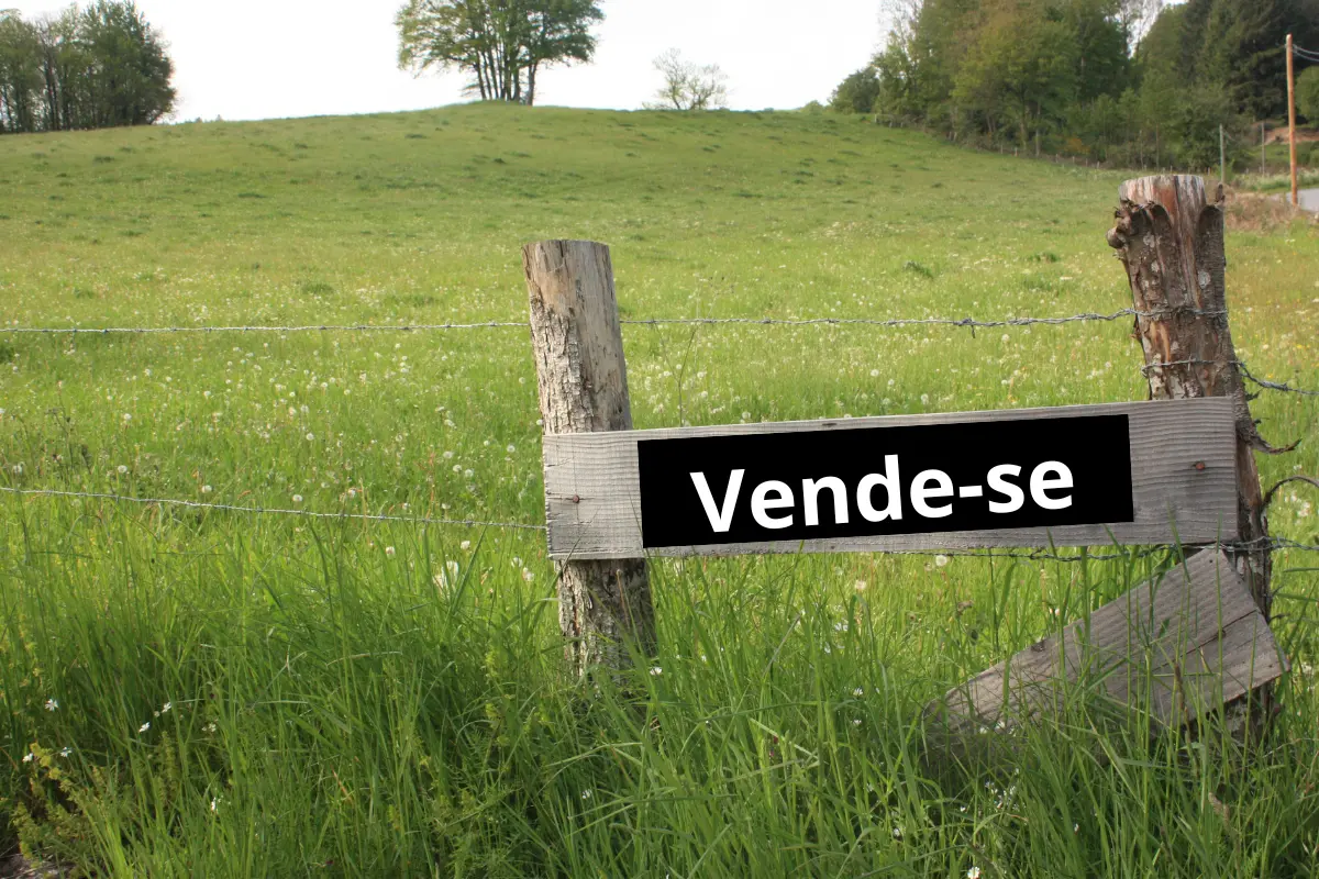 O que define o valor de um terreno urbano? Qual o valor real do lote? A resposta pode estar longe do preço anunciado. Foto: Reprodução / Canva Pro.