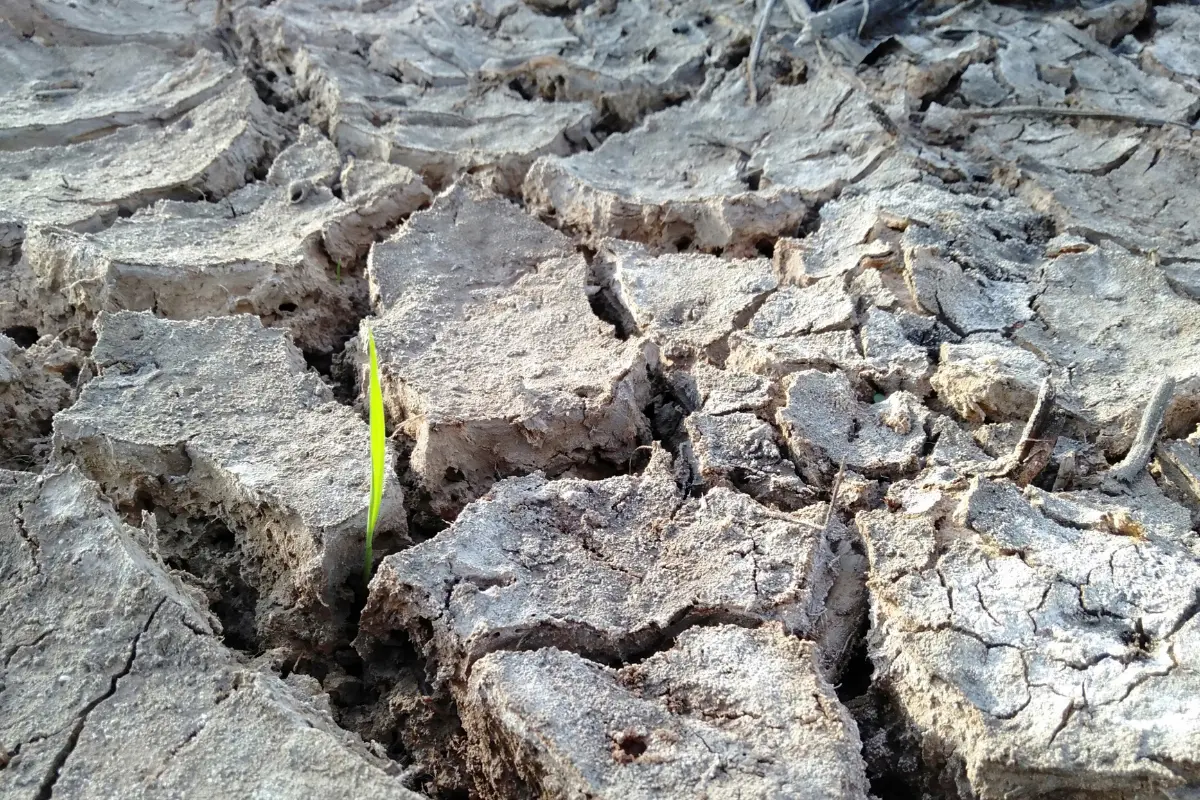 Os tipos de solo que podem inviabilizar construções! Você sabe o que o solo do seu terreno pode esconder? Foto: Reprodução / Canva Pro.
