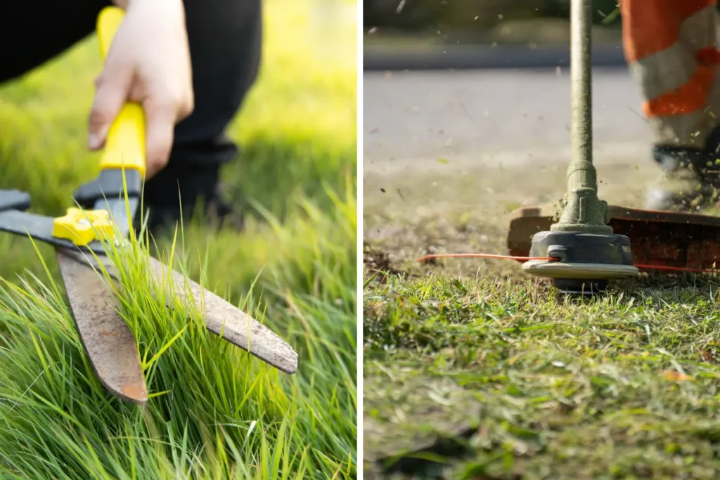 Como planejar uma limpeza de terreno de baixo custo! Comparação entre corte manual e com roçadeira lado a lado, reforçando eficiência. Foto: Reprodução / Canva Pro.