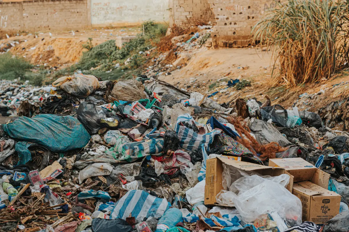 Como a limpeza de terrenos pode ser seu trunfo mais raro. Foto: Reprodução / Canva Pro.