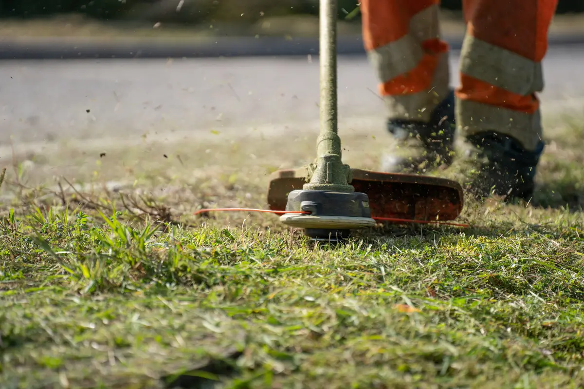 Como escolher a melhor solução para limpeza de terreno! Facão e roçadeira manual prontos para iniciar a limpeza. Foto: Reprodução / Canva Pro.