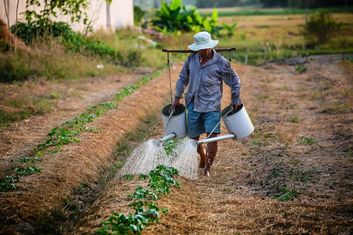 Como escolher a melhor solução para limpeza de terreno! Foto: Reprodução / Canva Pro.