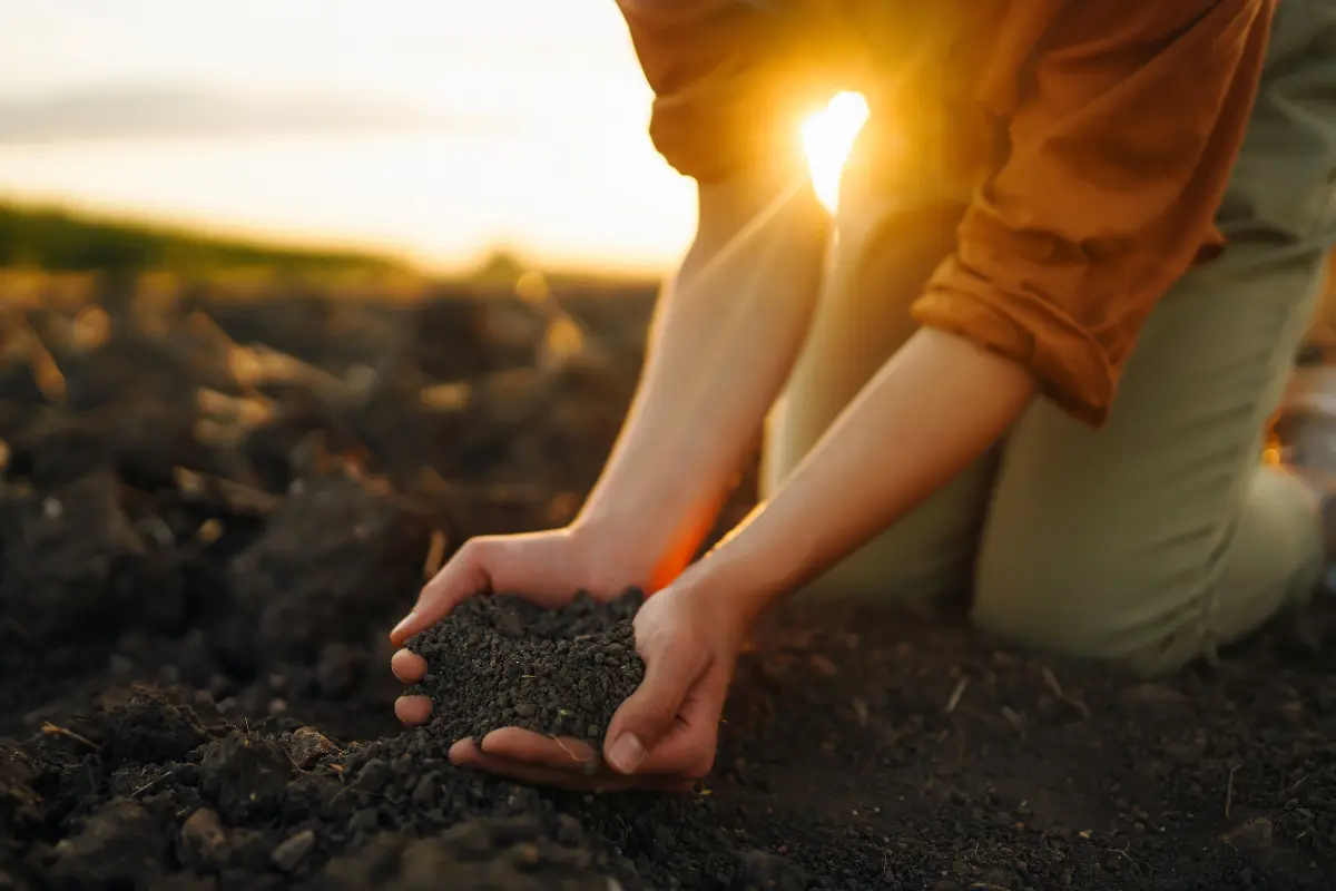 Limpeza de terreno sustentável: evite multas ambientais e gere economia imediata. Comunidade aplicando composto orgânico em canteiros após limpeza de terreno. Foto: Reprodução / Canva Pro.