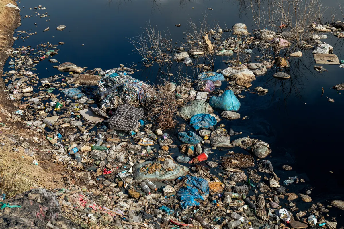 Entulho acumulado no terreno: descubra o perigo silencioso escondido no seu lote! Foto: Reprodução / Canva Pro.