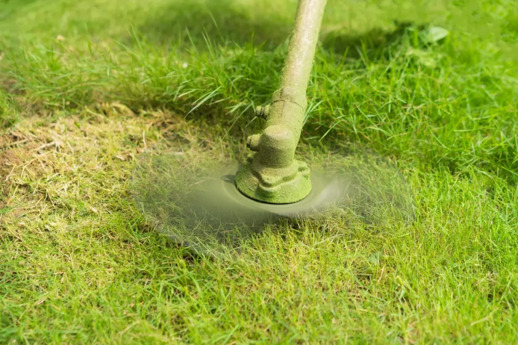 Como a limpeza de terreno pode aumentar sua rentabilidade em até 30%. Foto: Reprodução / Canva Pro.