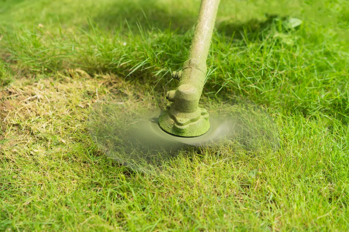 Como a limpeza de terreno pode aumentar sua rentabilidade em até 30%. Foto: Reprodução / Canva Pro.