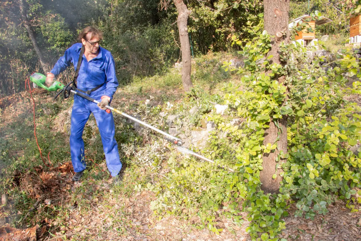 Limpeza de terreno em 7 etapas: término da limpeza e prepara início das obras. Foto: Reprodução / Canva Pro.