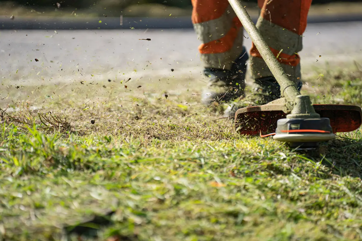 7 dicas para reduzir custos na limpeza de terrenos. Foto: Reprodução / Canva Pro.
