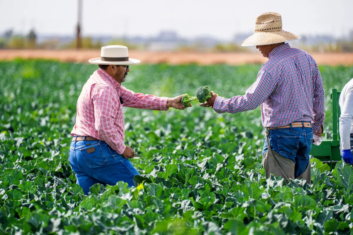 Aspectos ambientais a checar em um lote rural. Reação genuína de produtor ao preservar nascente em sua propriedade. Foto: Reprodução / Canva Pro.