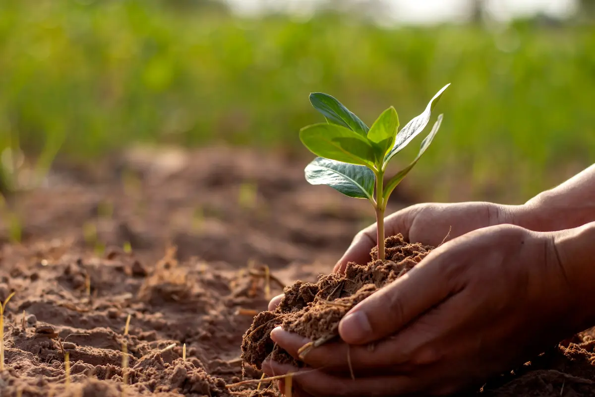 Avaliação de solo. Profissional comemora resultados positivos do teste que garantiu segurança à construção. Foto: Reprodução / Canva Pro.