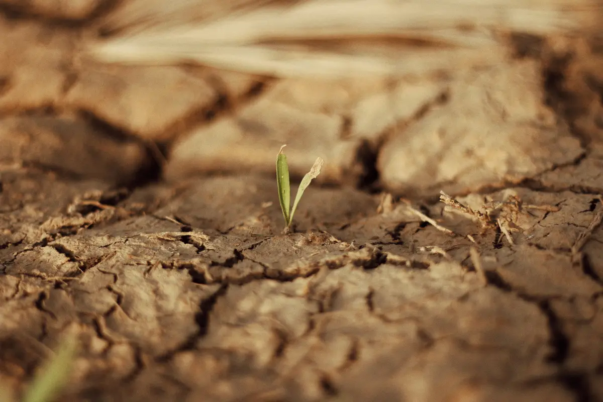 Como detectar passivos ambientais em uma gleba contaminada. Foto: Reprodução / Canva Pro.