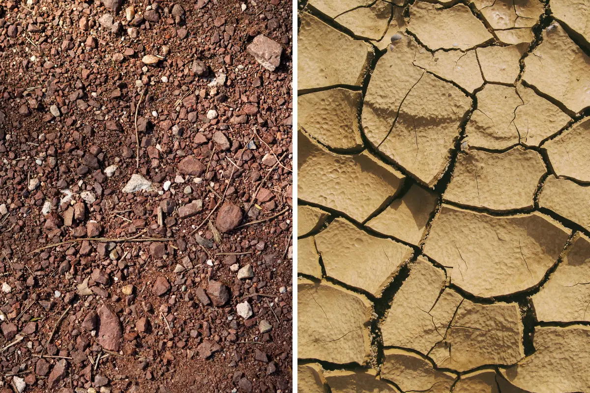 Como identificar problemas em solo arenoso antes da aquisição. Duas amostras destacam diferenças de retenção e textura. Foto: Reprodução / Canva Pro.