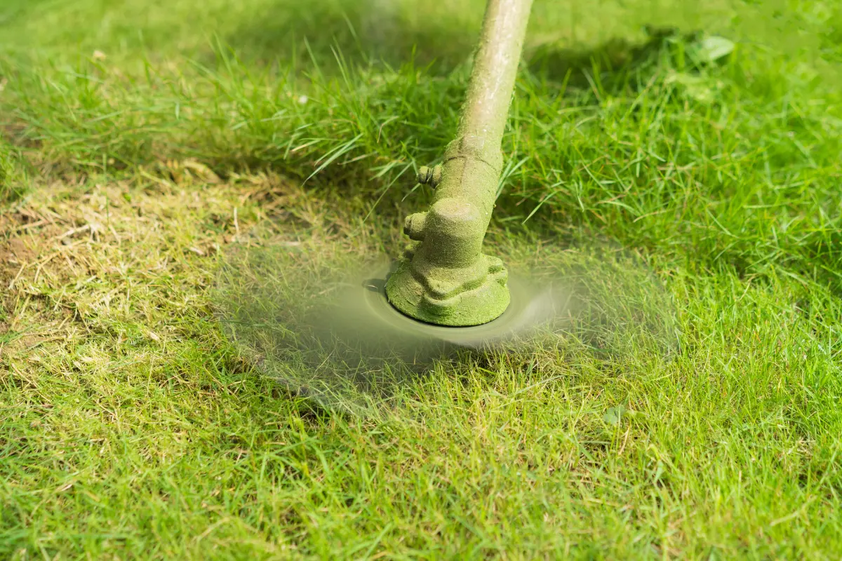 Proprietário avalia o terreno limpo e em conformidade, transmitindo alívio e confiança. Foto: Reprodução / Canva Pro.