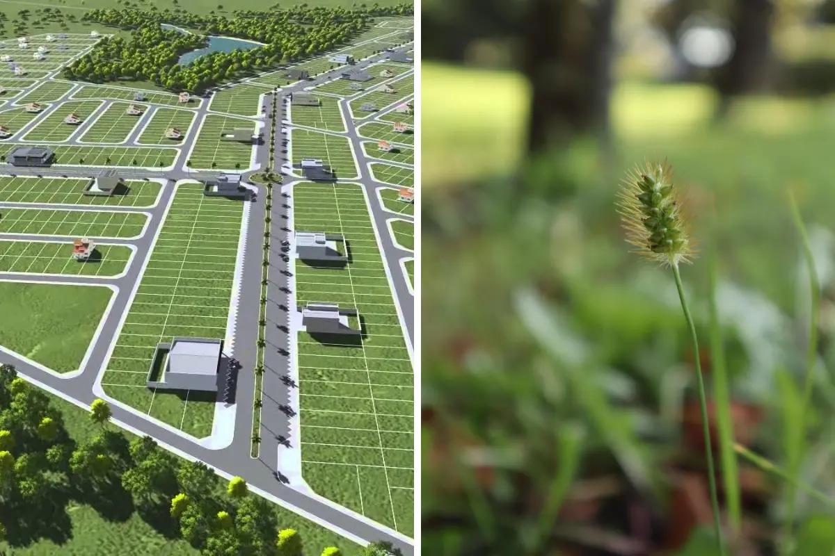 Conceitos básicos de lote gleba e leiva. Visual antes e depois ilustra o impacto da urbanização em parcela de terra. Foto: Reprodução / Canva Pro.