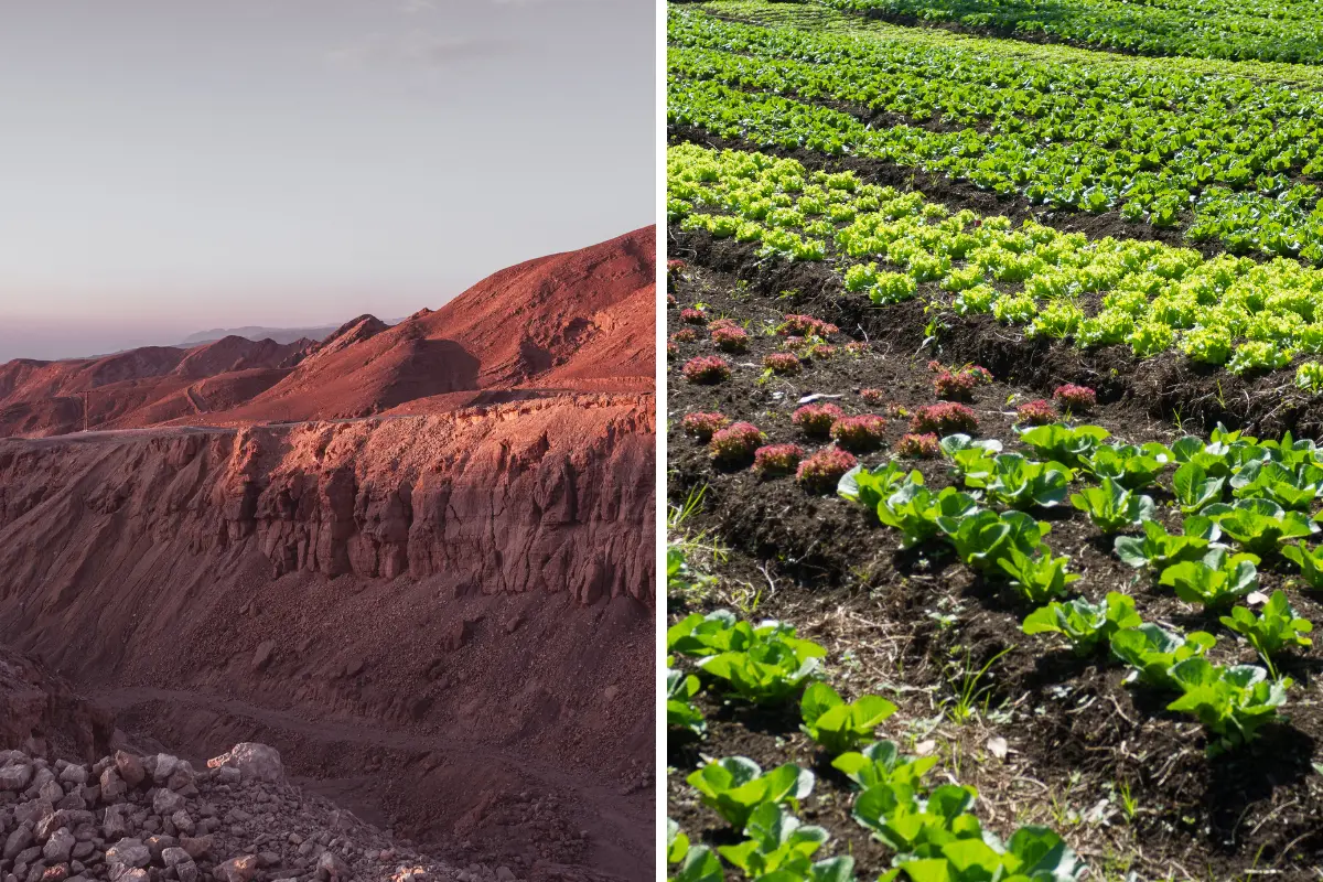 Top 7 usos sustentáveis para terra degradada reaproveitada. Contraste entre solo erodido à esquerda e plantação verde à direita – Foto: Reprodução / Canva Pro.