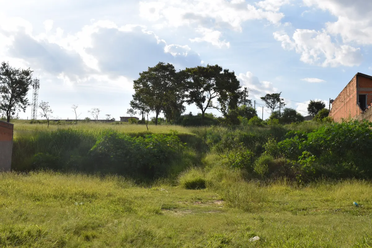 Principais cuidados ao visitar um terreno baldio antes de fechar negócio. Foto: Reprodução / Canva Pro.