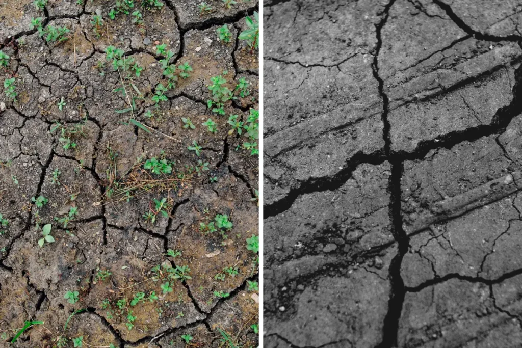 Como identificar risco geológico de um terreno: Foto: Reprodução / Canva Pro.