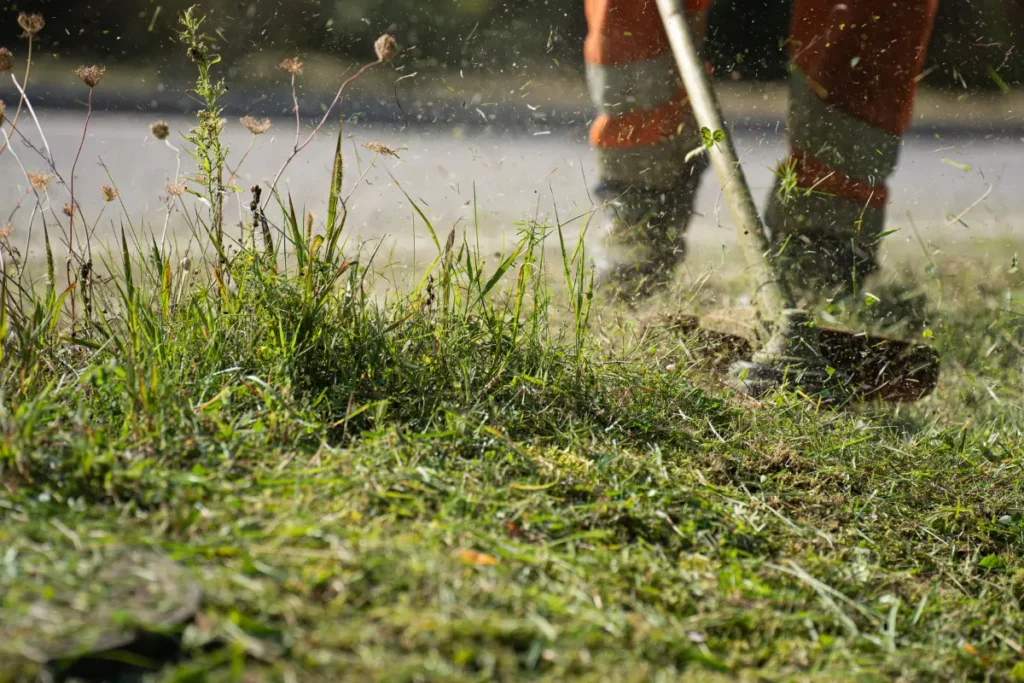 Saiba como limpar terreno comercial antes da venda. A satisfação de ver o terreno pronto para o próximo passo. Foto: Reprodução / Canva Pro.